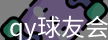 qy球友会